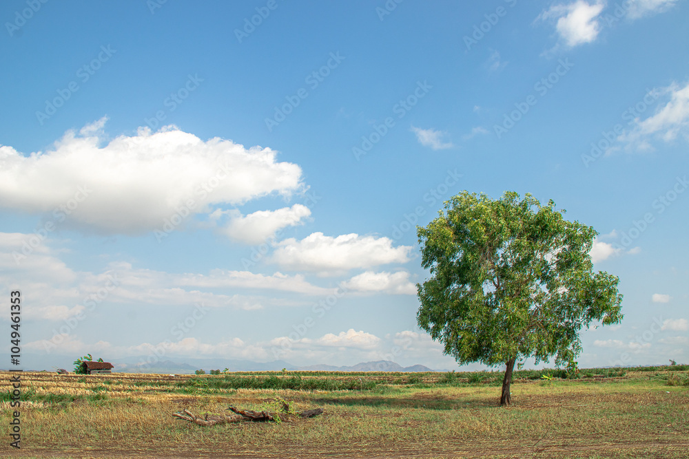 Fluffy white clouds floated freely in the infinite blue sky, creating unique and interesting patterns. 