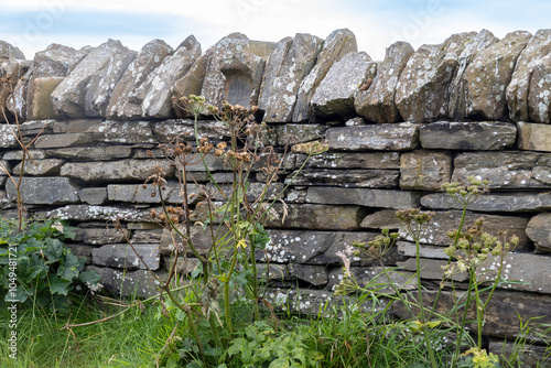 Idyllic full frame texture background of a rustic European stone wall fence with surrounding vegetation