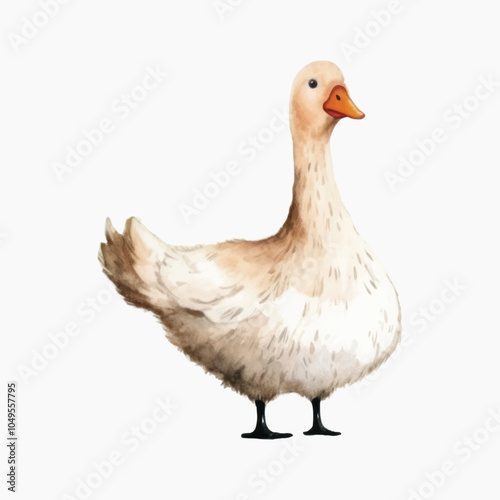 Watercolor duck illustration on white