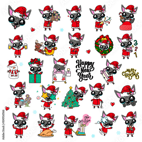 PNG Chihuahua in Santa Claus costume on Christmas and New Year's Day.