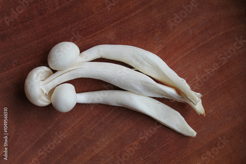 Bunapi shimeji, or white beech, or white clamshell mushroom, on wooden background photo