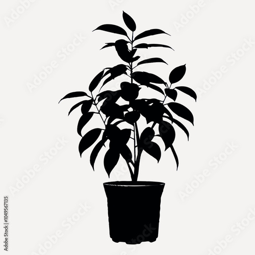 Silhouette of potted plant.