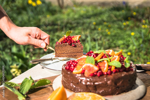 Serving a slice of delicious chocolate cake adorned with fresh fruits photo