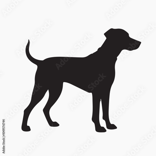 Silhouette dog standing pose