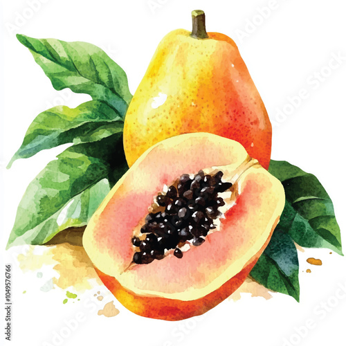 Pawpaw fruit watercolor clipart illustration