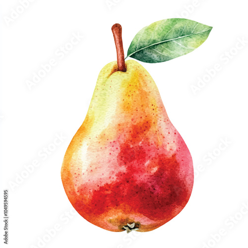 Pear fruit watercolor clipart illustration