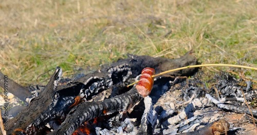 a piece of smoked sausage on stick an open fire in nature photo