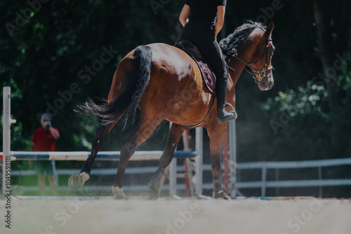 Принти на полотні A skilled horseback rider practices show jumping on a powerful brown horse in an outdoor arena
