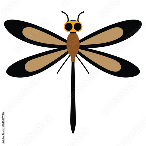 dragonfly illustration