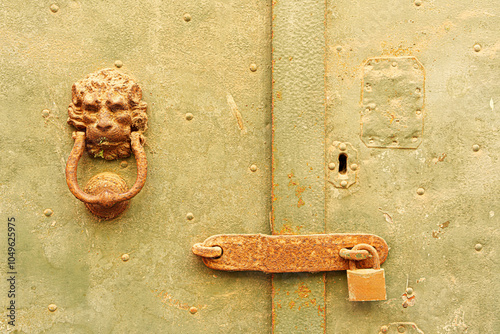 Detail of a knocker and a bolt on an old door