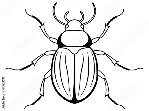 Beetle Liner Art Vector Illustration