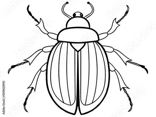 Beetle Liner Art Vector Illustration