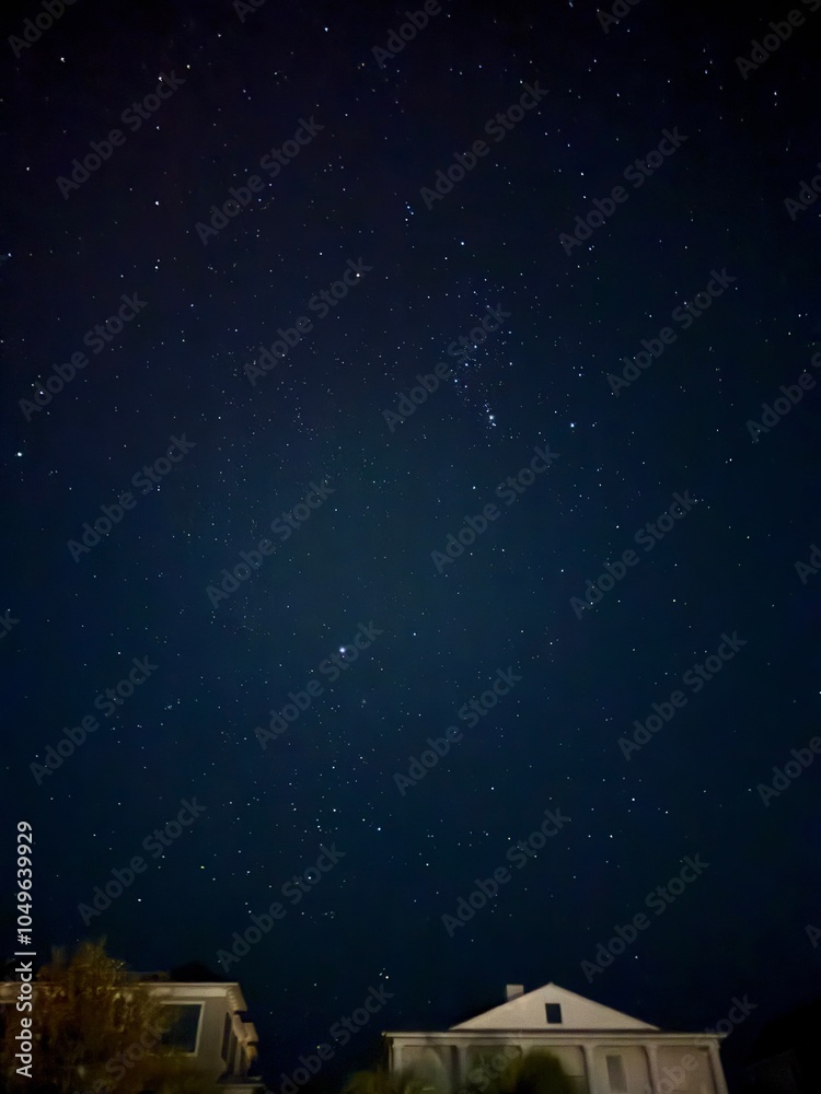 Naklejka premium starry night sky