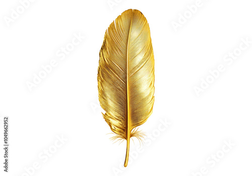 Photo of golden feather .Transparent background. Isolated PNG.