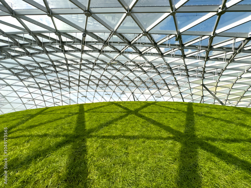 Fototapeta premium Green lawn under the dome