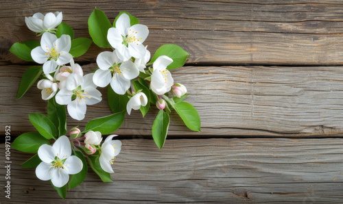 Spring apple blossoms flowering branch on wooden background with copy space