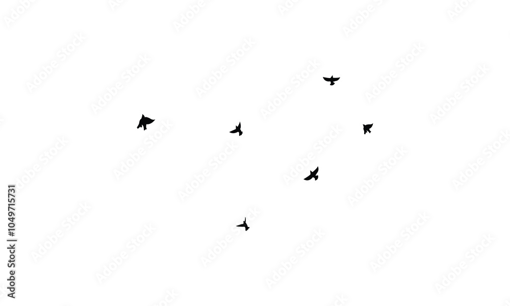 Fototapeta premium Flying birds silhouettes And Vector illustration.