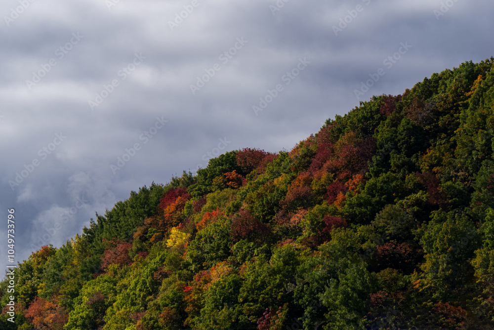 Autumnal Hill by Hwy 138 in Quebec