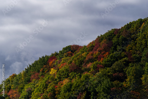 Obraz na płótnie Autumnal Hill by Hwy 138 in Quebec w salonie