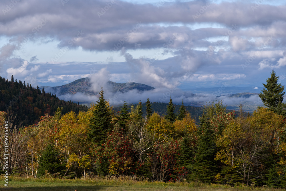 Le Massif Vista