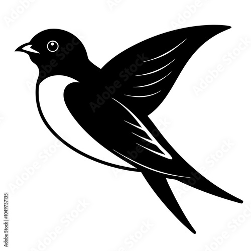 swallow on white