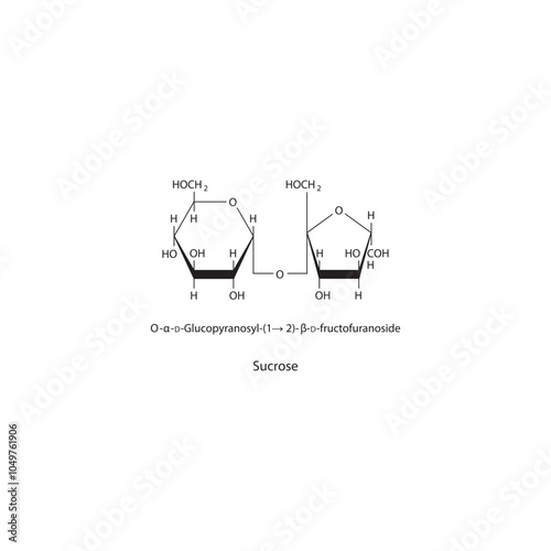 Sucrose skeletal structure diagram.Disaccharide compound molecule scientific illustration.
