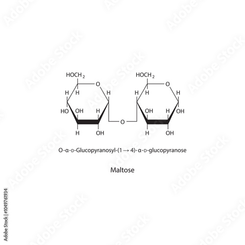 Maltose skeletal structure diagram.Disaccharide compound molecule scientific illustration.