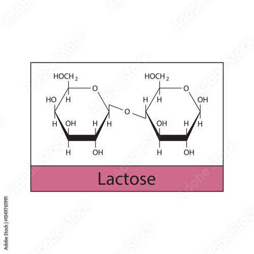 Lactose skeletal structure diagram.Disaccharide compound molecule scientific illustration.