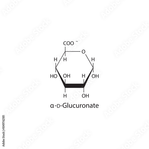α-D-Glucuronate skeletal structure diagram.Sugar compound molecule scientific illustration.