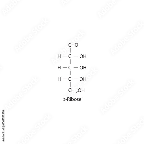 D-Ribose skeletal structure diagram.Sugar compound molecule scientific illustration.