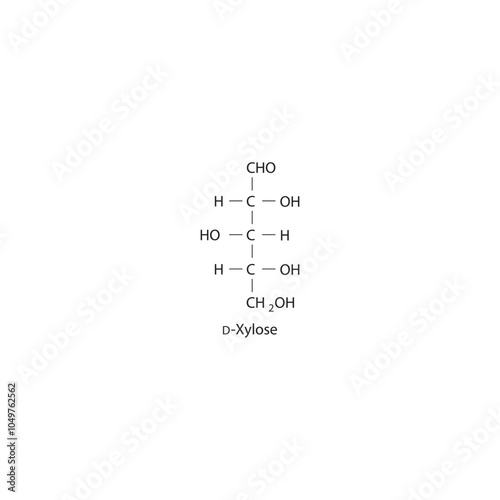 D-Xylose skeletal structure diagram.Sugar compound molecule scientific illustration.