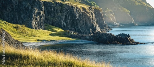 Rocks and grass along the s...