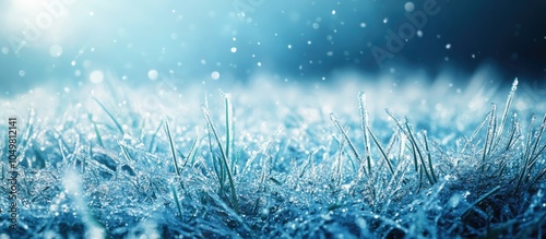 Frost on grass with copyspa...