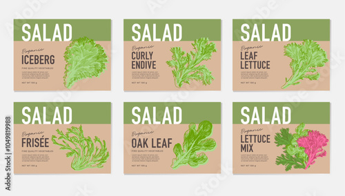 Sketch drawings of lettuce leaves, graphic elements for packaging design