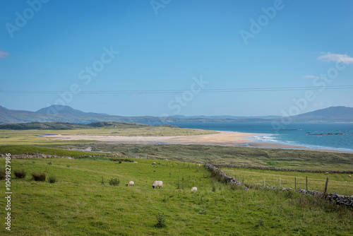 Doovilra, Ireland - June 29 2024 