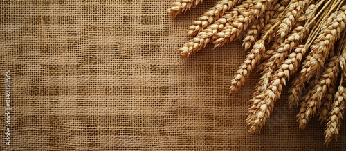 Wheat on a sackcloth backgr...