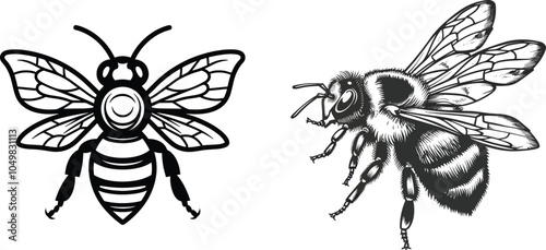 Two bee illustrations in black and white showing line drawing and realistic style for honey bee logo mascot character design t-shirt design tattoo insect nature animal wildlife wild bumblebee