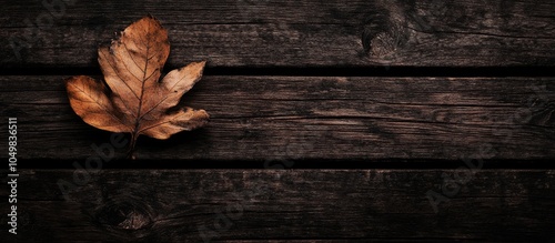 dark brown autumn leaf on a...
