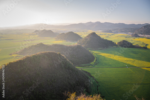 Beautiful yellow field full of rapeseed in Luoping at Yunnan of China during the sunset photo