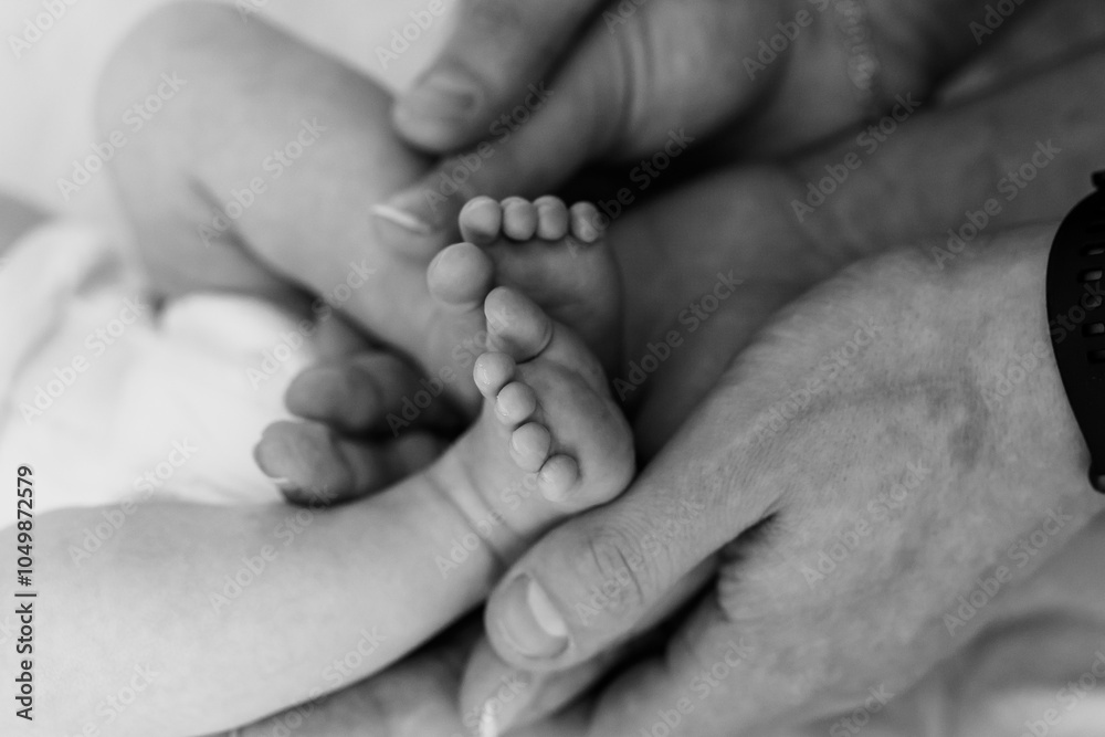 Tender Connection: A Baby's Feet Cradled by Loving Hands Tender Connection: A Baby's Feet Cradled by Loving Hands