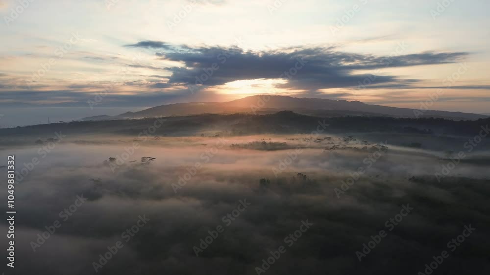 Bird eye view dramatic Misty sunrise with sunlight passing through the trees with hills and clouds in the background Bird eye view dramatic Misty sunrise with sunlight passing through the trees with hills and clouds in the background