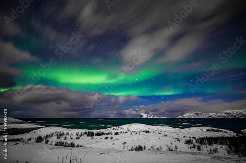 Northern Lights in Sommaroy Norway  photo