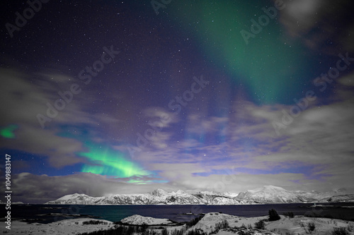 Northern Lights in Sommaroy Norway  photo