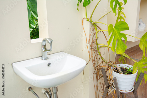 handwashing stations or westafel and there are monstera plants in pots