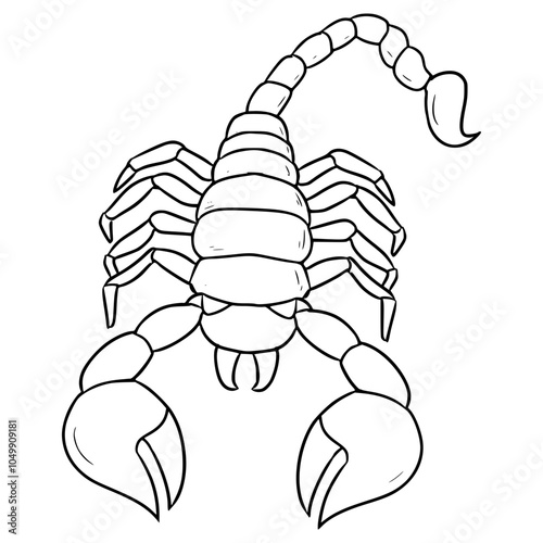 scorpion illustration hand drawn outline vector