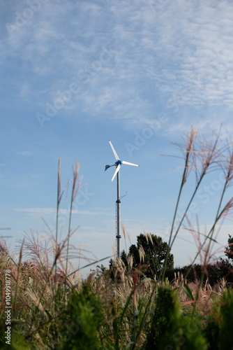 Photography Beautiful sunset photo of the wind turbine with reed grass at Haneul Park (Sky P