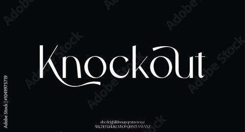 Elegant Font Uppercase Lowercase Number And Ampersand. Classic Lettering Minimal Fashion Designs. Typography modern serif fonts regular decorative vintage concept. vector illustration

