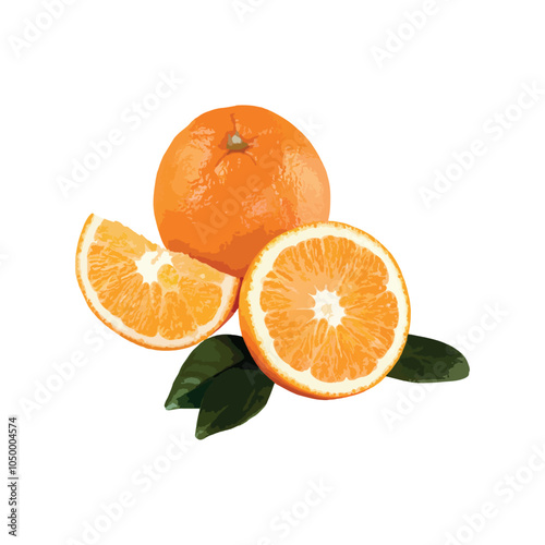 An orange slice isolated vector on a white background