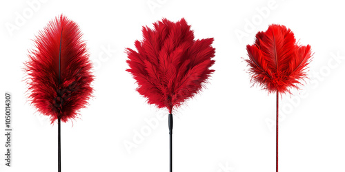 Red Feather Duster on a Transparent Background photo