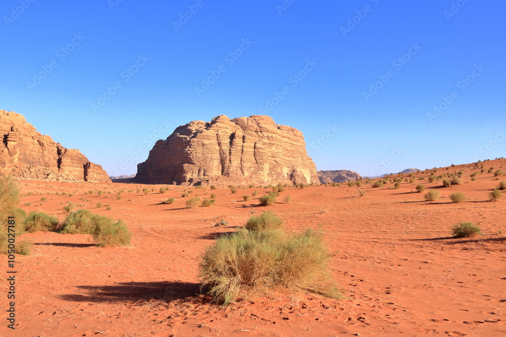 Fototapeta premium Scenic view of rocks in Wadi Rum desert, Jordan